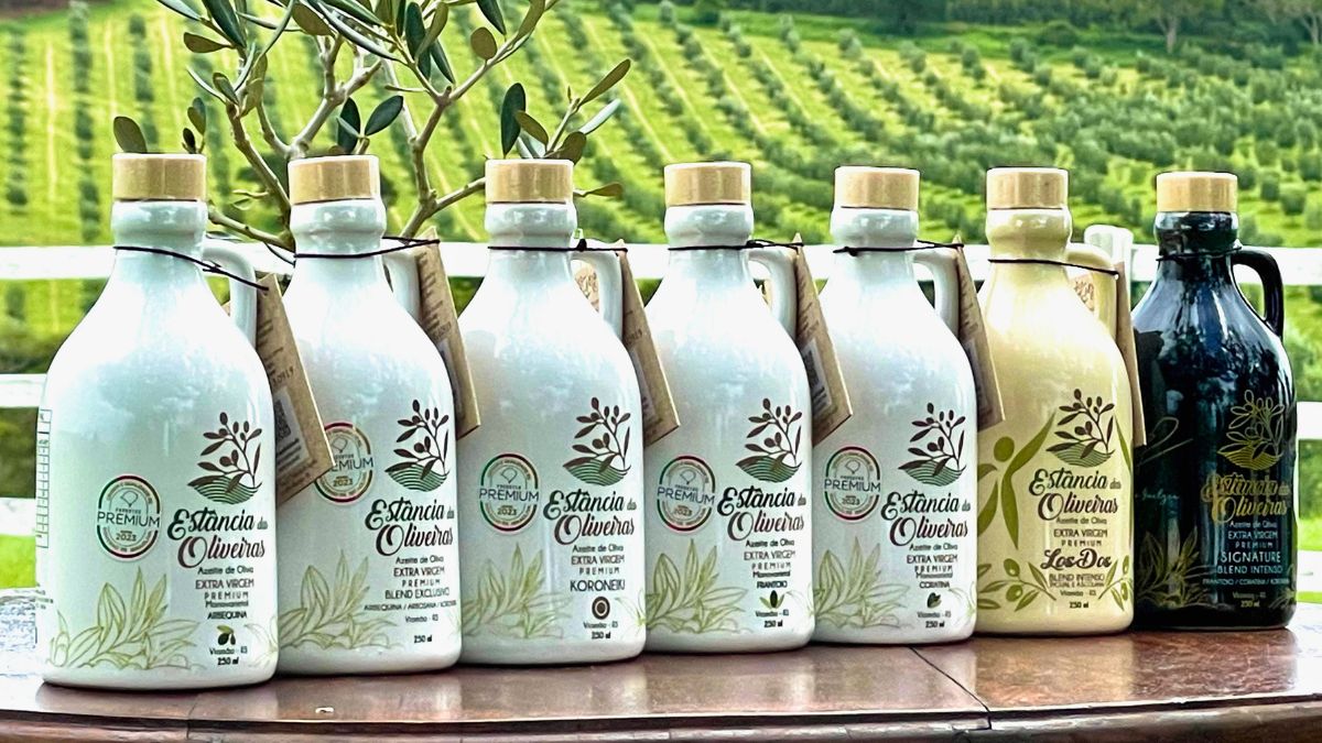 estancia das oliveiras azeite empresa familiar