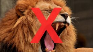 Bilionário Revela Verdades Chocantes sobre Imposto de Renda! Confira! 14 imposto de renda ir