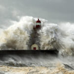 shutterstock 125301275