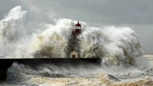shutterstock 125301275